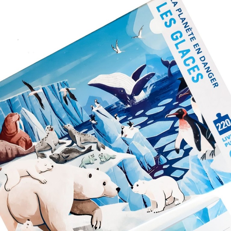 la-planete-en-danger-les-glaces (6)