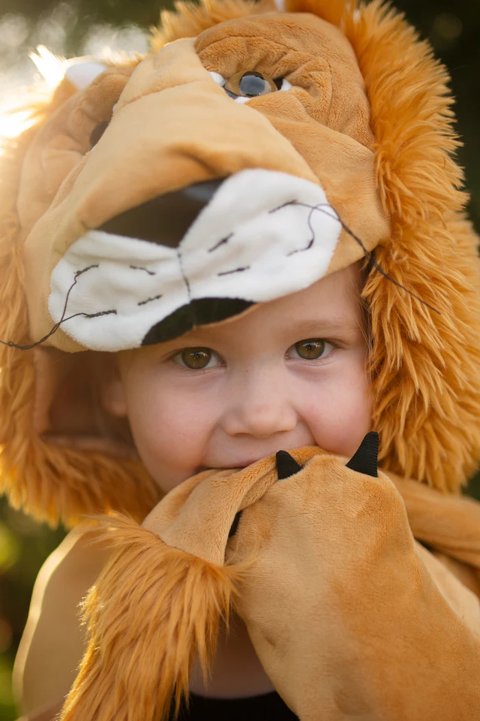 lion3
