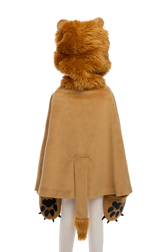 lion4