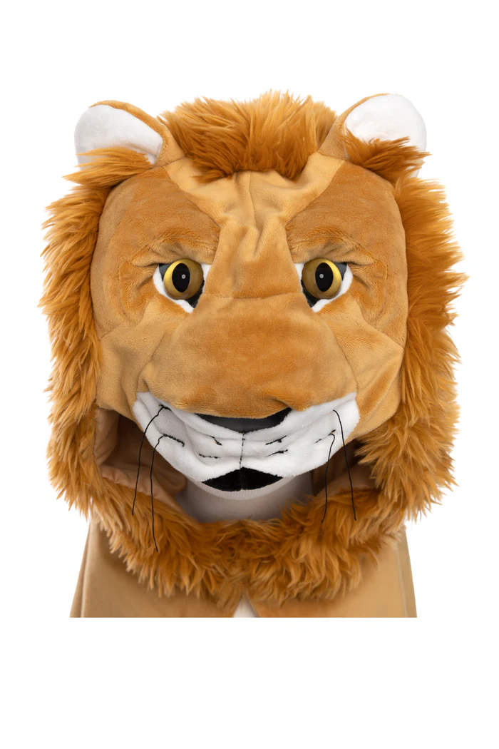 lion5