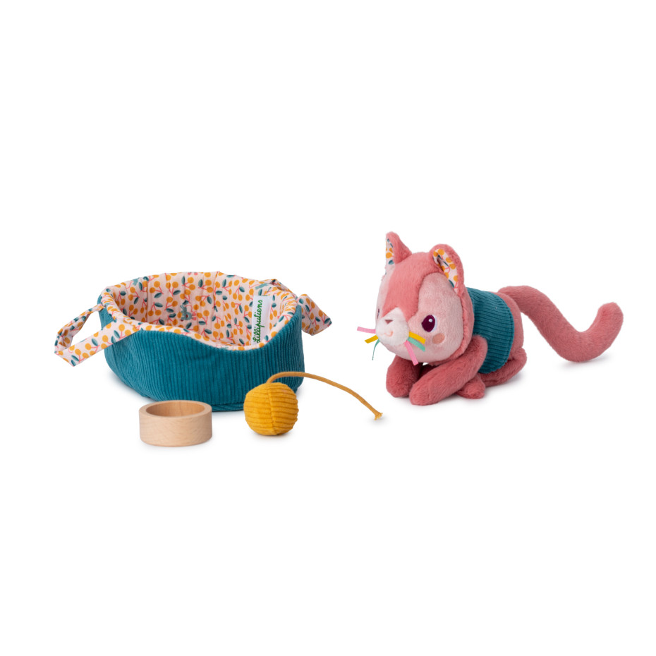 jeanne-le-chat-et-son-panier (2)