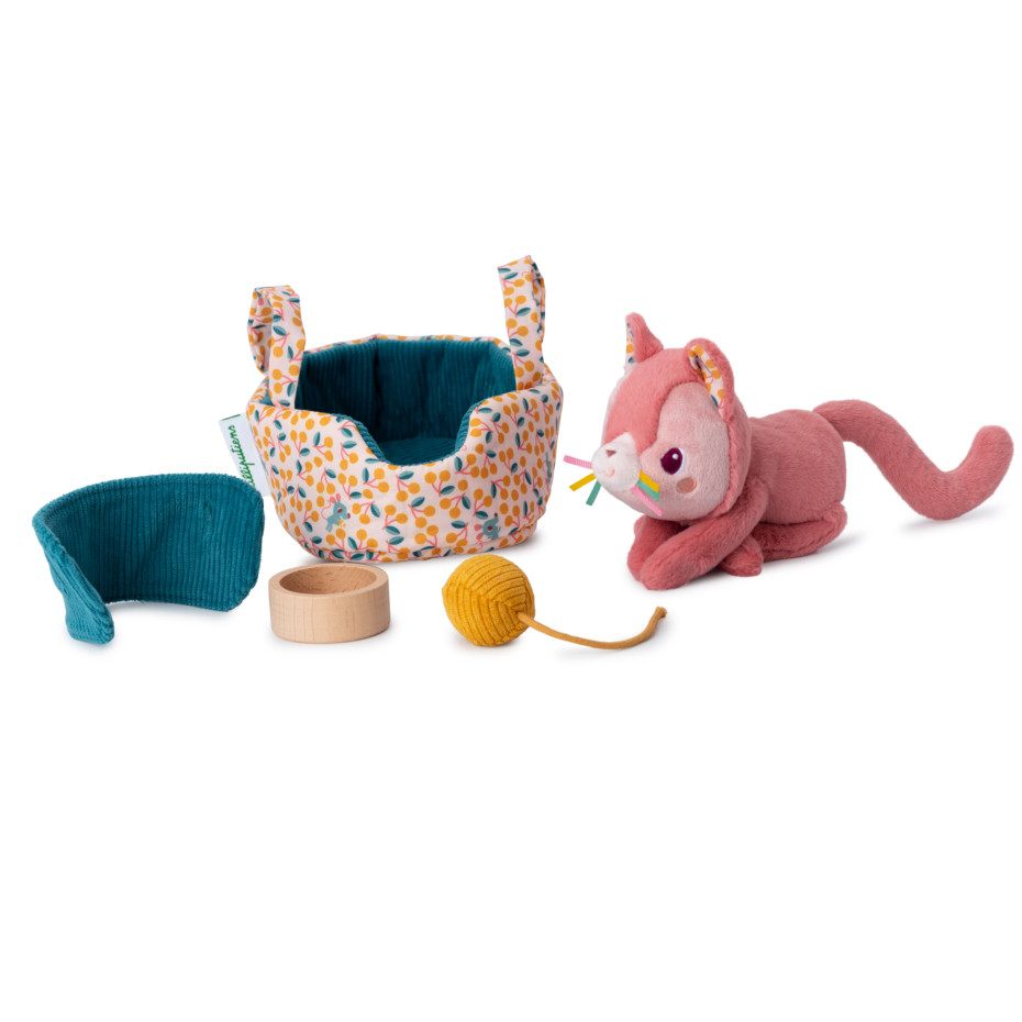 jeanne-le-chat-et-son-panier (3)
