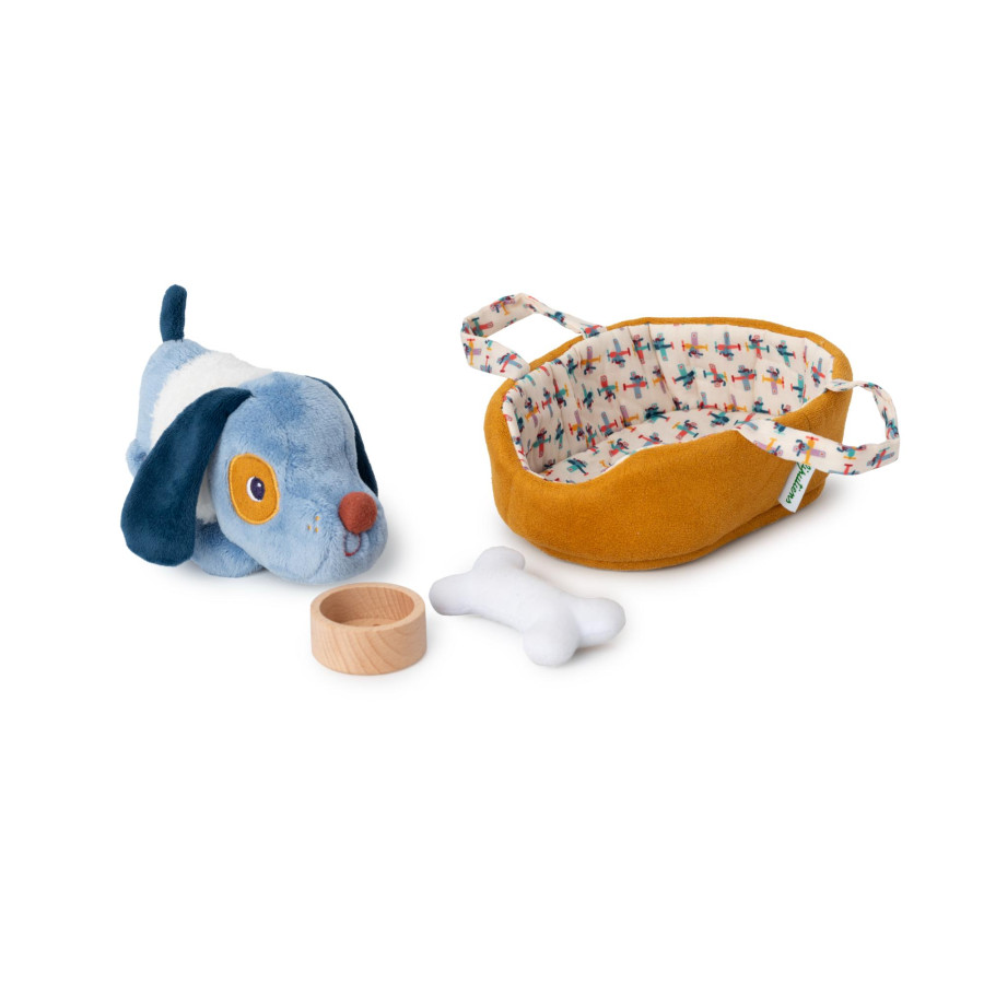jules-le-chien-et-son-panier (2)