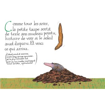 De-la-petite-taupe-qui-voulait-savoir-qui-lui-avait-fait-sur-la-tete-version-album (1)