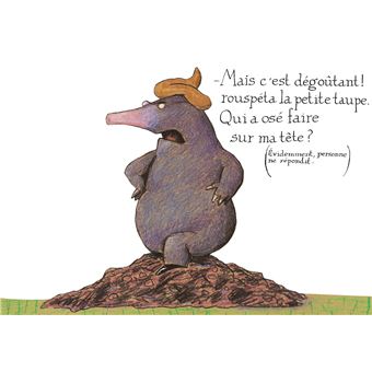 De-la-petite-taupe-qui-voulait-savoir-qui-lui-avait-fait-sur-la-tete-version-album (2)