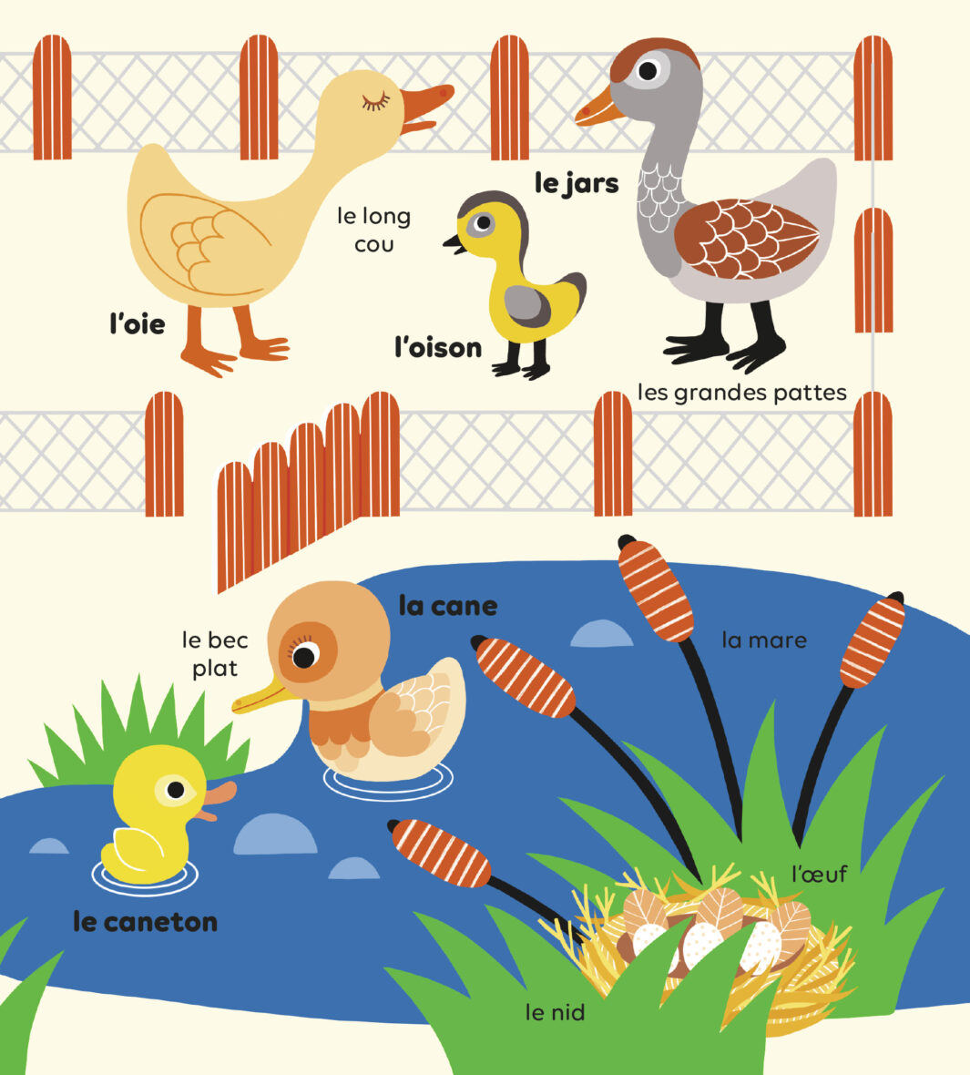Imagier – les animaux de la ferme