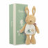 Peluche sonore lapin