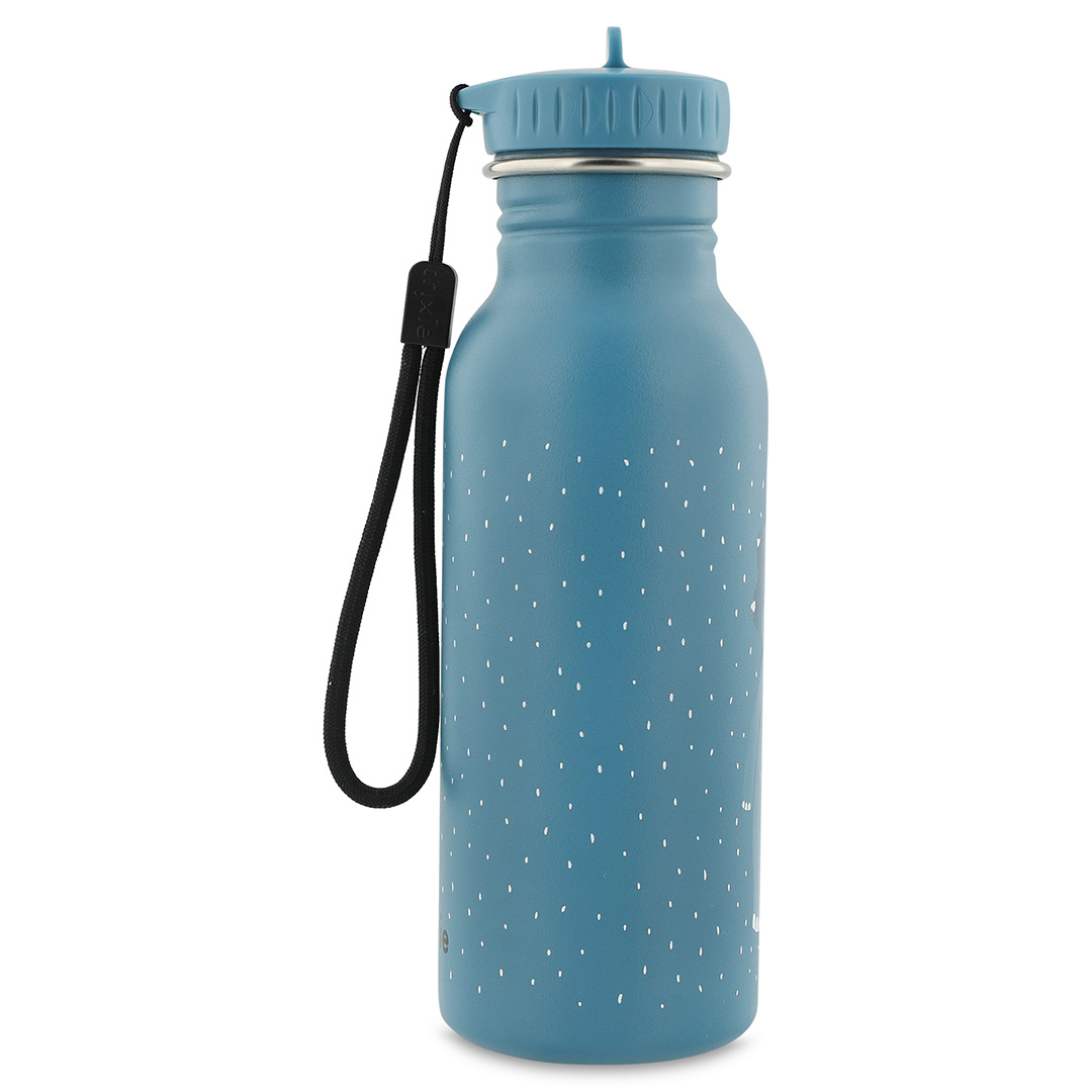 Gourde Mr Triceratops – 500 mL