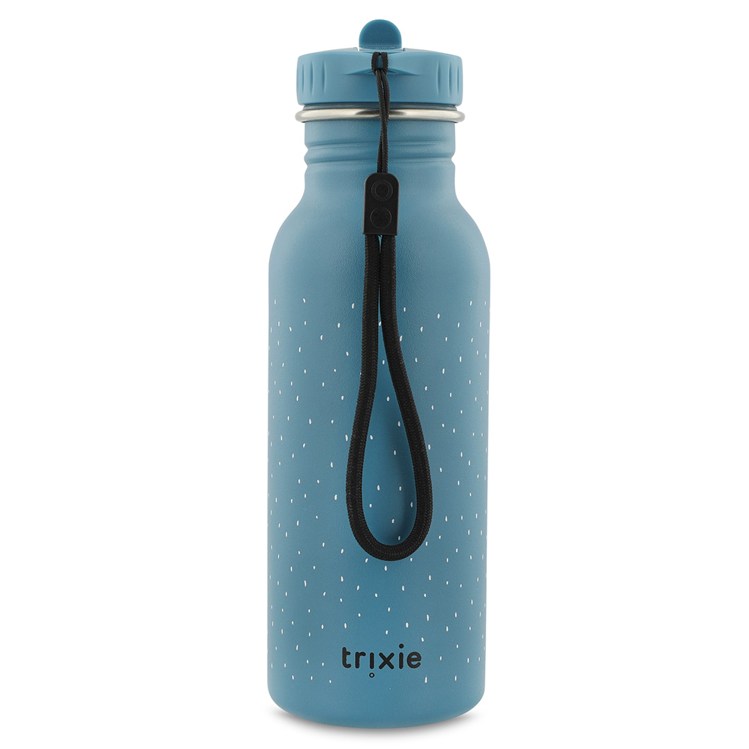 Gourde Mr Triceratops – 500 mL