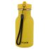 Gourde isotherme Mr Lion - 350 mL