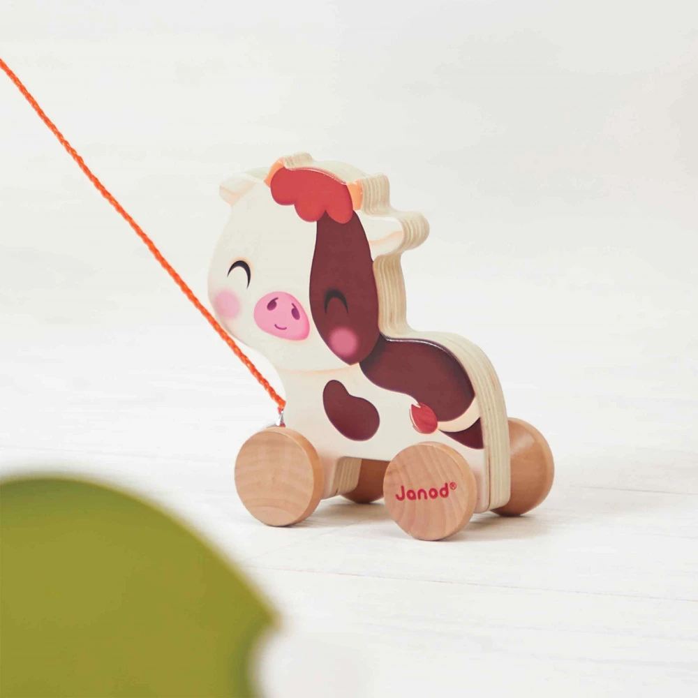vache-a-promener-ferme.jpg3