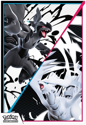 Pokémon – Coffret Poster Foudre Noire & Flamme Blanche EV10.5
