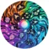 Puzzle Circle of colors Astrologie 500 pièces