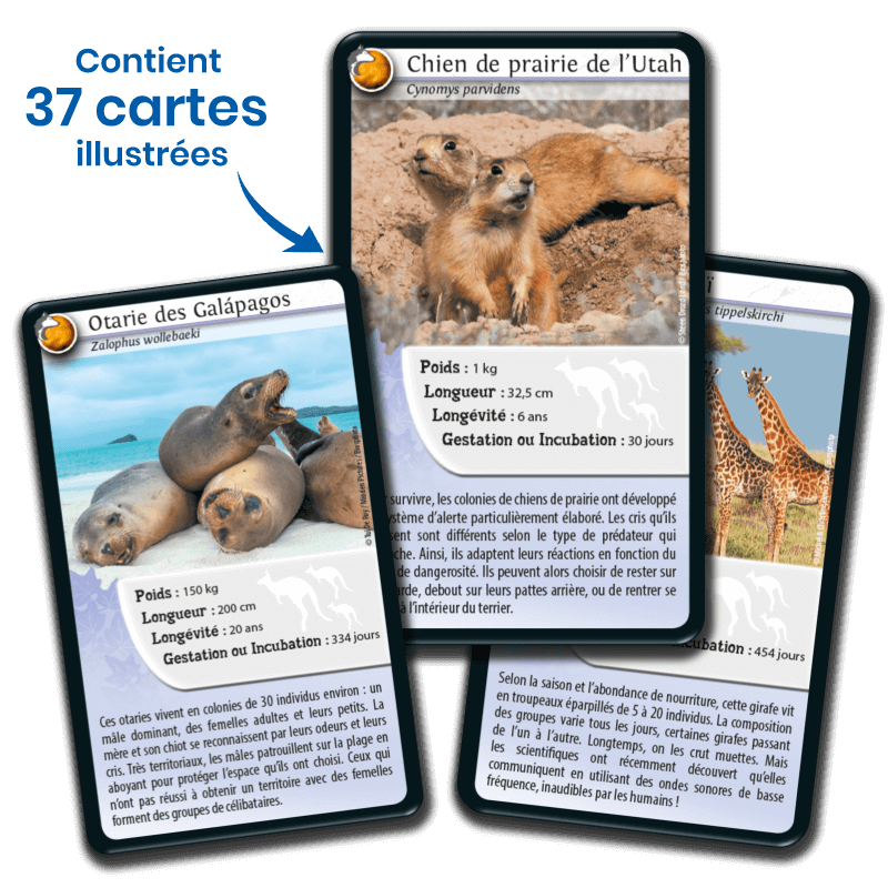 defis-nature-animaux-inseparables (2)