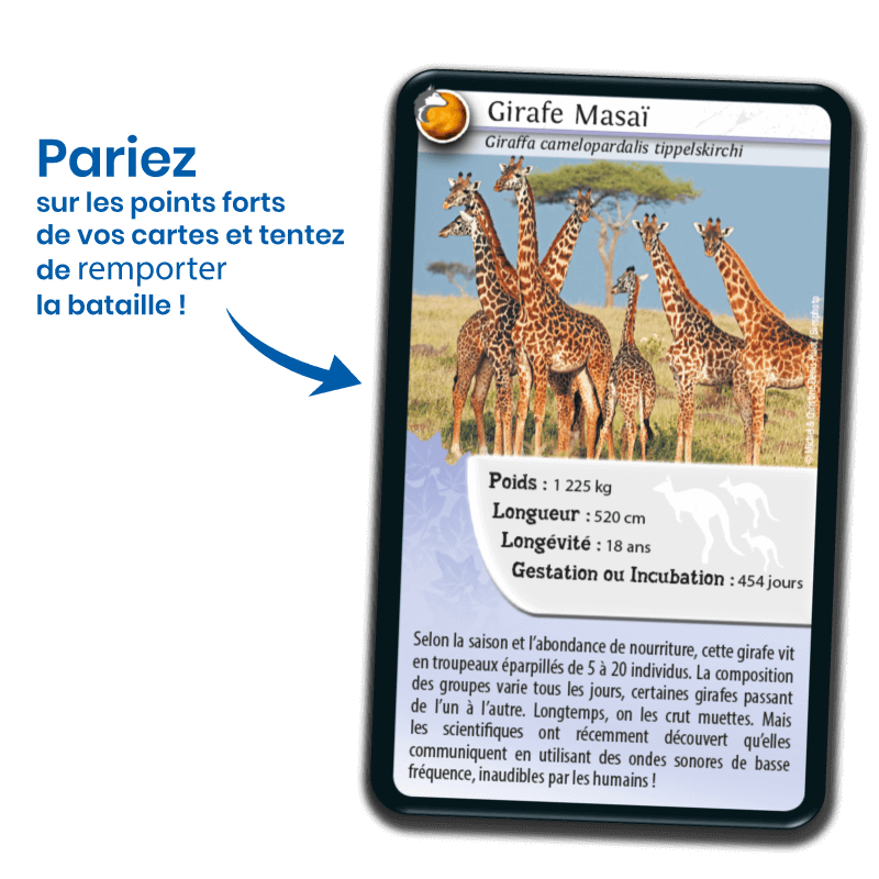 defis-nature-animaux-inseparables (3)