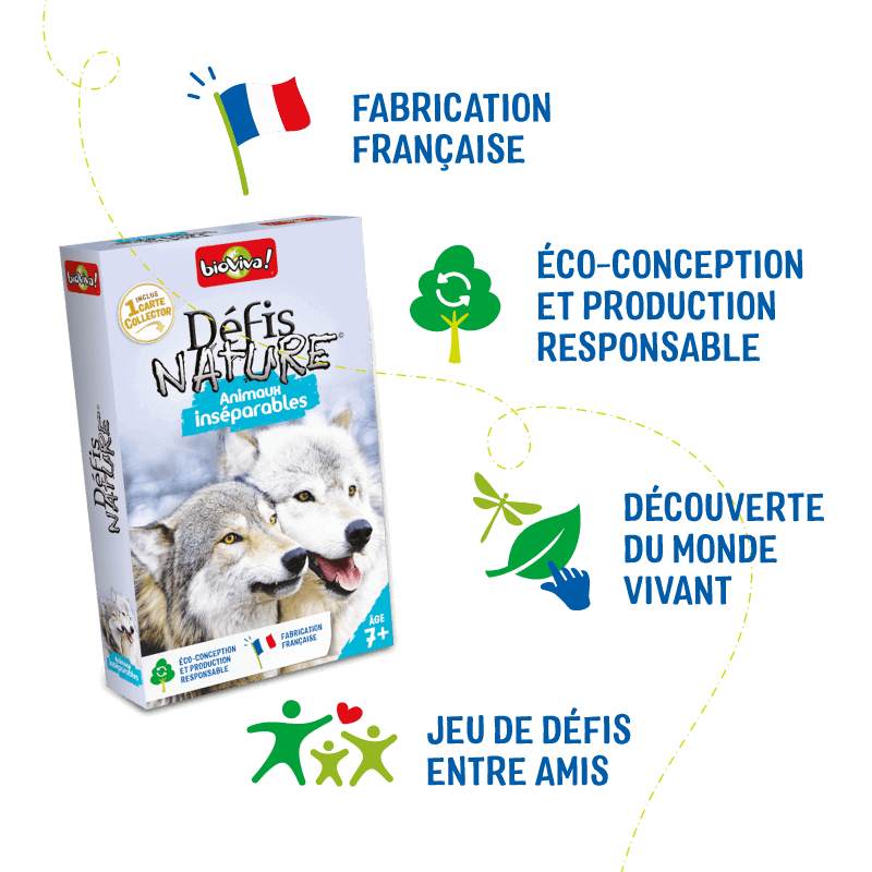 defis-nature-animaux-inseparables (5)