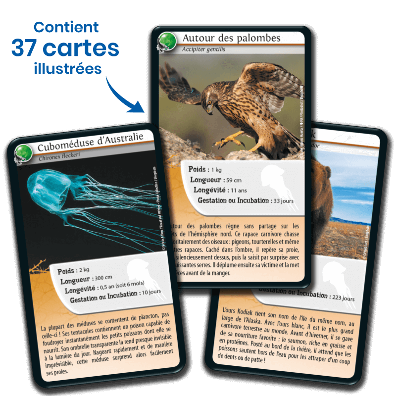 defis-nature-animaux-redoutables (3)