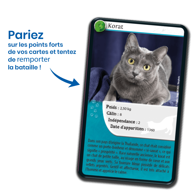 defis-nature-chats (2)