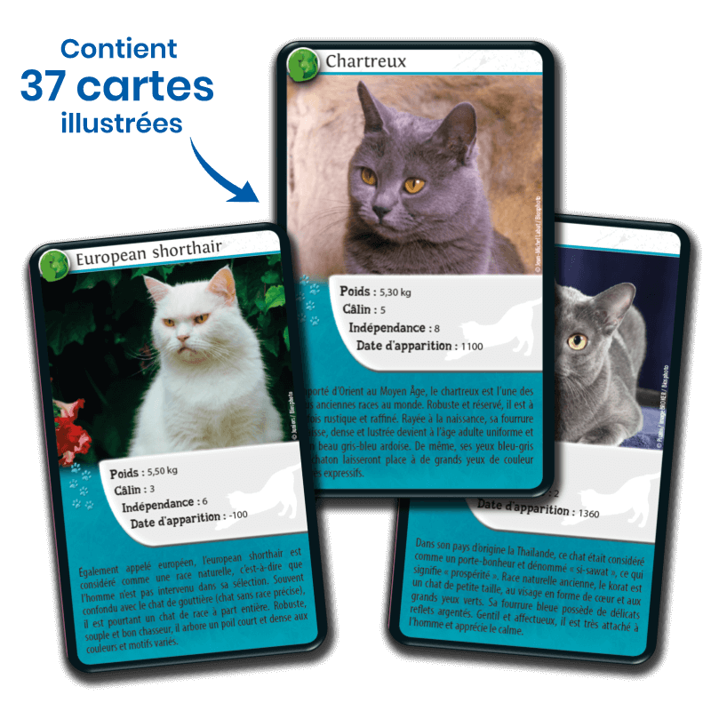 defis-nature-chats (3)