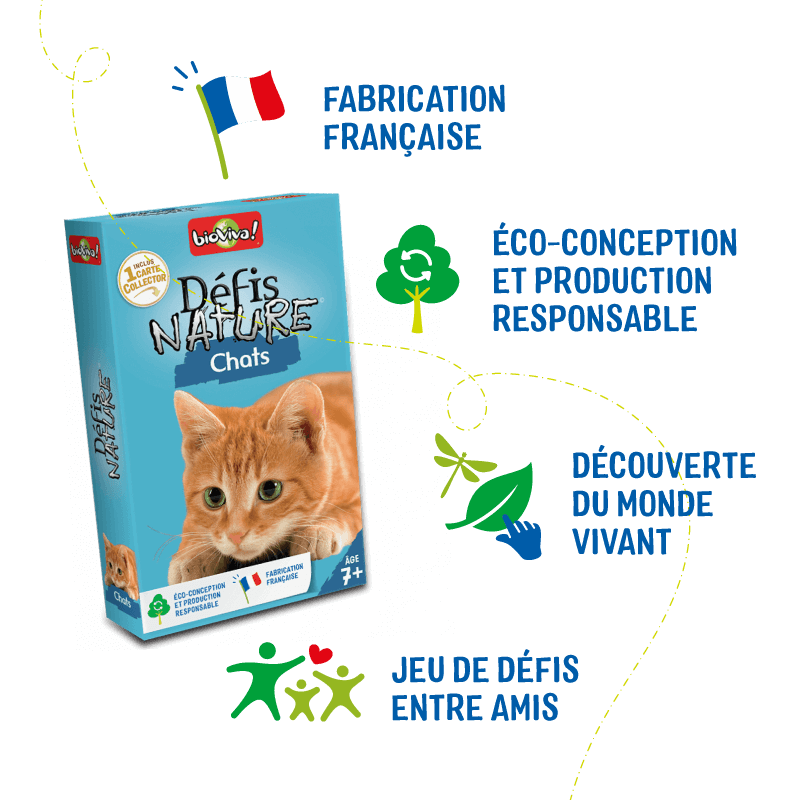 defis-nature-chats (5)