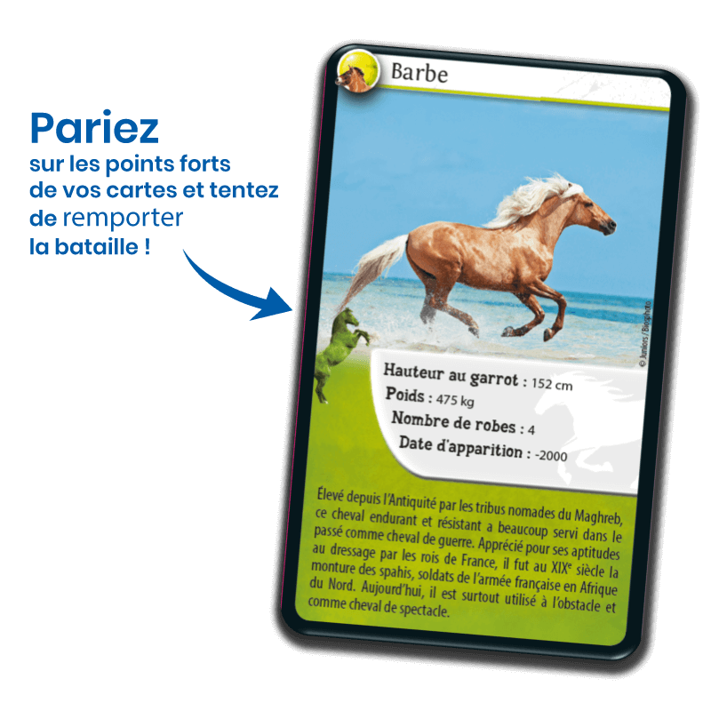 defis-nature-chevaux (2)