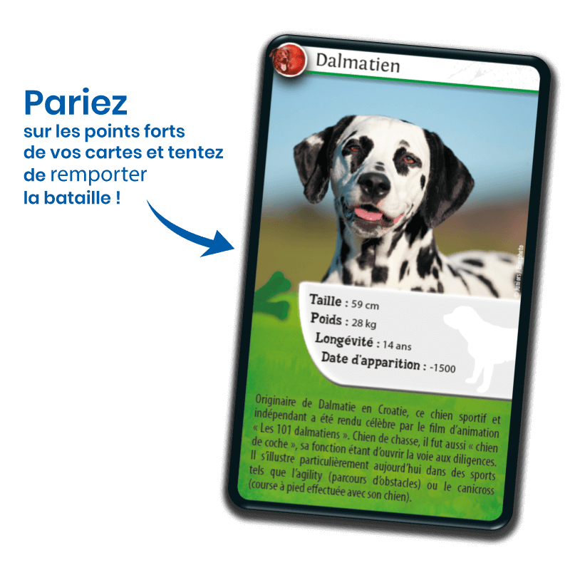 defis-nature-chiens (2)