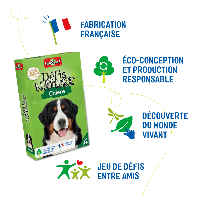 defis-nature-chiens (5)