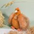 Les poulettes - Peluche Poule Orange 20 cm
