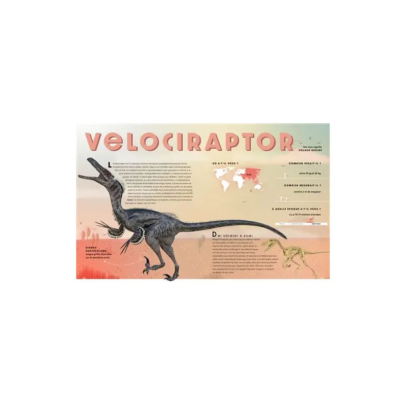 Dico Dinos – L’encyclopédie la plus complète2