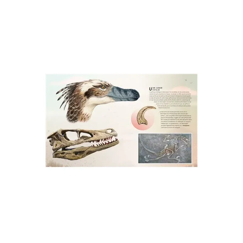 Dico Dinos – L’encyclopédie la plus complète4