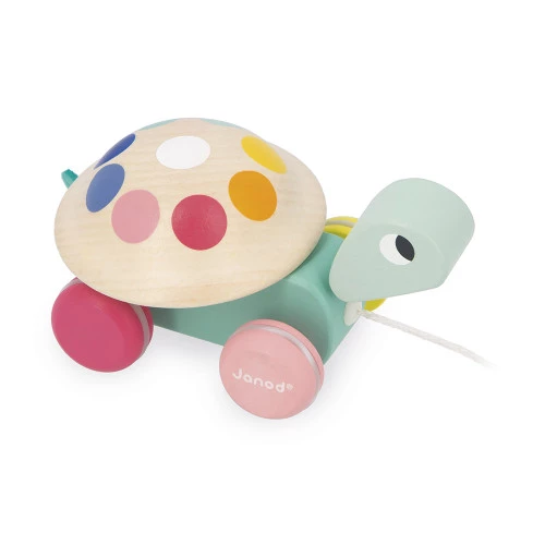 tortue-a-promener-zigolos-bois (2)