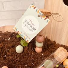 Billes de fleurs à planter x4 en fiole – Merci pour cette super année !