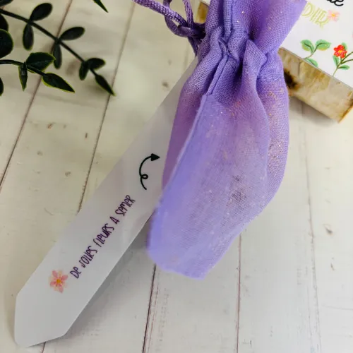 Pic décoratif + billes à planter – Maîtresse2