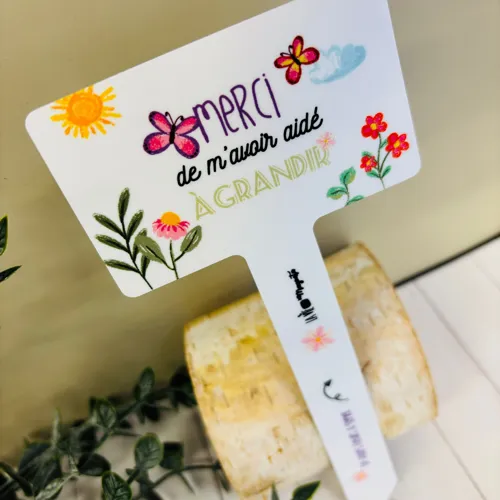 Pic décoratif + billes à planter – Maîtresse3